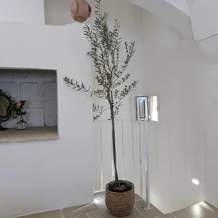 Dimora Ludovica *