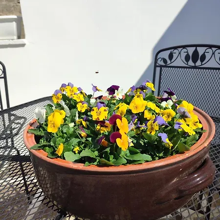 Dimora Ludovica Holiday home